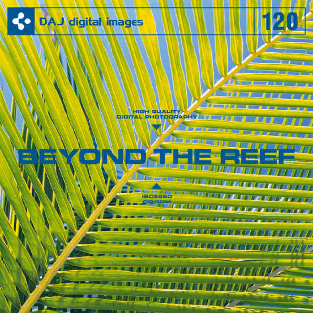 DAJ120 BEYOND THE REEF 【ビヨンドザリーフ】