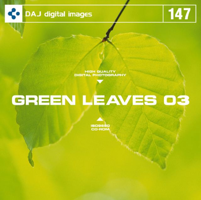 DAJ147 GREEN LEAVES 03 【フレッシュな新緑イメージ 03】