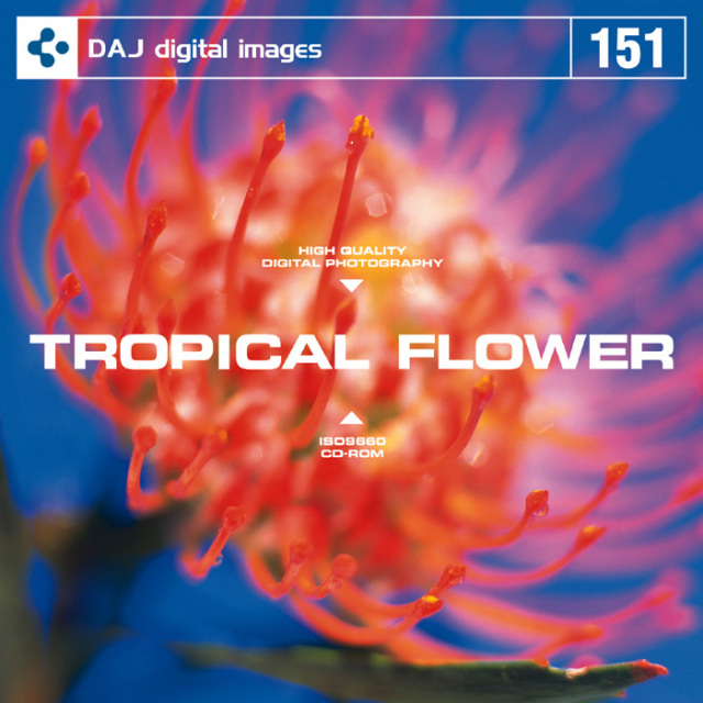 DAJ151 TROPICAL FLOWER 【トロピカル フラワー】