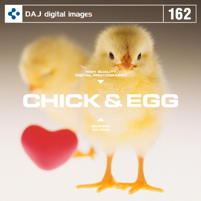 DAJ162 CHICK & EGG 【たまご＆ひよこ】