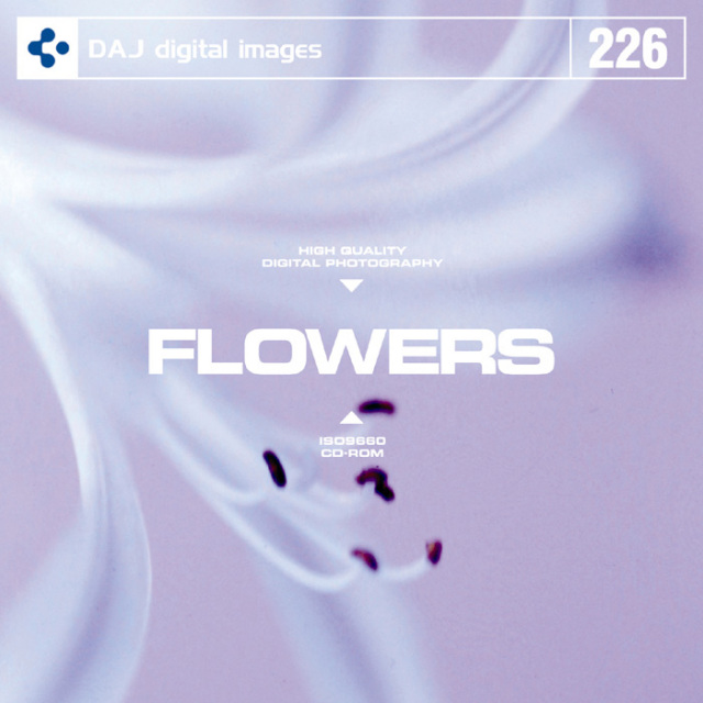 DAJ226 FLOWERS 【フラワーズ】