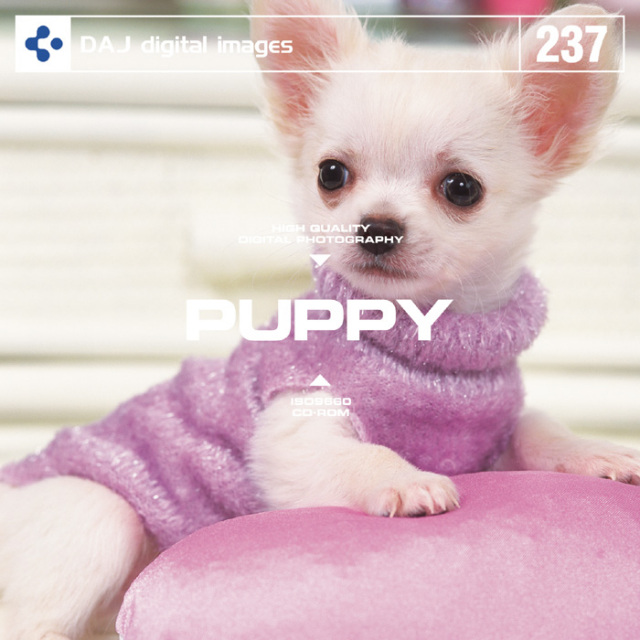 DAJ237 PUPPY 【パピー】