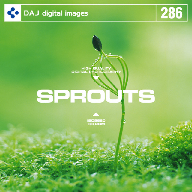 DAJ286 SPROUTS 【新芽】