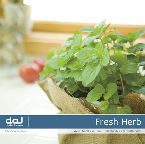 DAJ elm004 Fresh Herb
