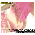 SUPER FINE No.6 AUTHENTIC COLORS （紅葉・落ち葉）