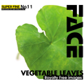 SUPER FINE No.11 VEGETABLE LEAVES （野菜の葉）