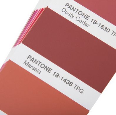 PANTONE パントン FHI カラーガイドおよび新色Dualities デュアリ