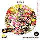 創造素材 花Vol.4