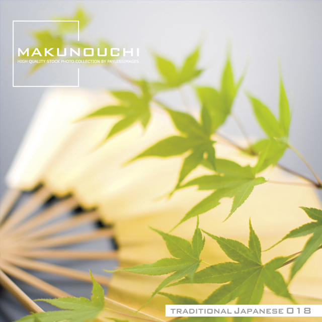 Makunouchi 018 Traditional Japanese