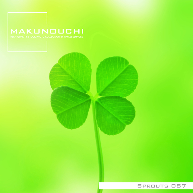 Makunouchi 087 Sprouts