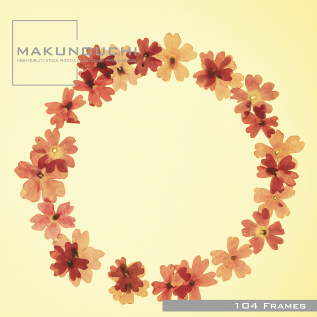 Makunouchi 104 Frames