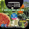 マルク ヘルシー素材図鑑：2（身体によい食材・素材・植物）