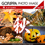 ごりっぱフォトイメージ37「秋」【メール便可】
