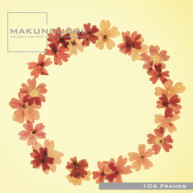 Makunouchi 104 Frames
