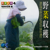 マルク 食材の旅：4　野菜収穫（旬食材収穫編）