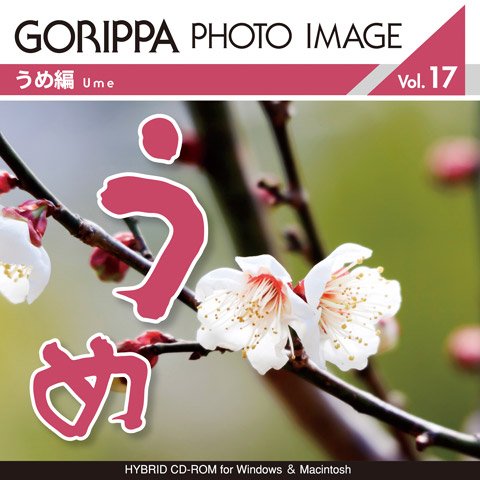 ごりっぱフォトイメージ17「うめ」