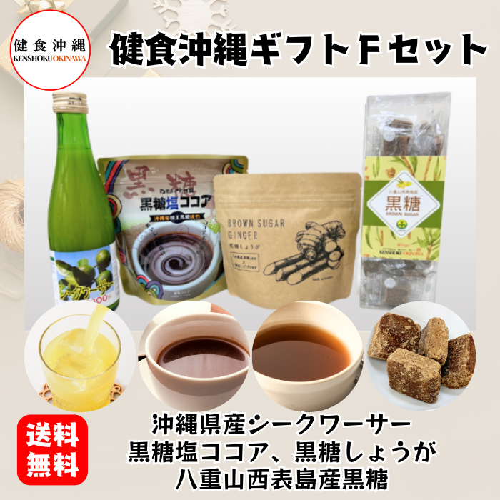 健食沖縄ギフトFセット2024