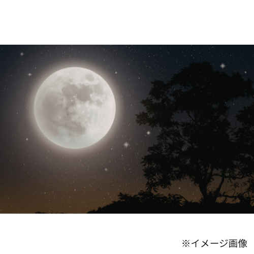 プレミアム浜比嘉塩（満月の塩）