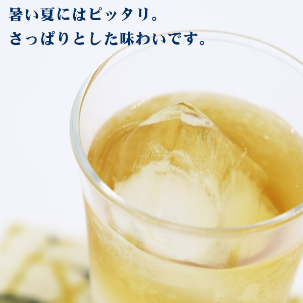 ゴーヤー茶 ティーバッグ 種入り焙煎仕立て 18包