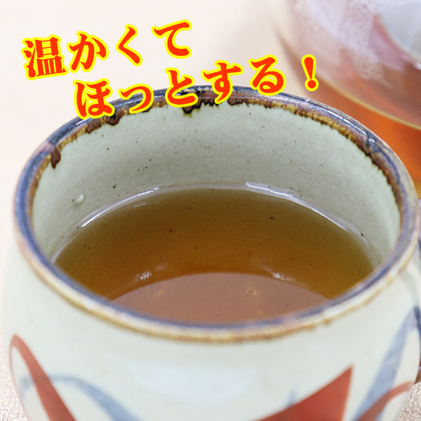 ゴーヤー茶 ティーバッグ 種入り焙煎仕立て 18包