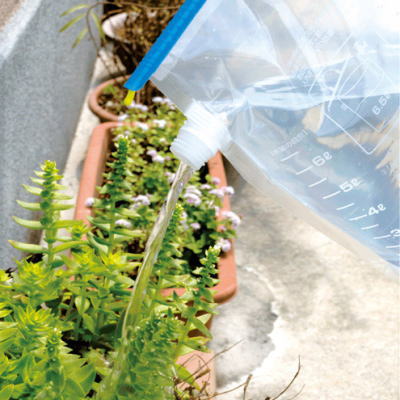 スパウトバッグ