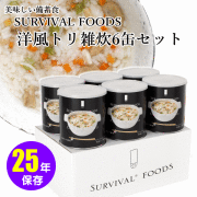 サバイバルフーズ　洋風トリ雑炊
