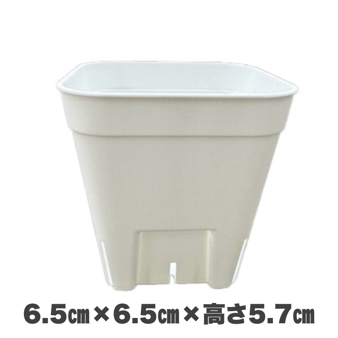 プレステラ 通常型 白 75 スリット入りプラ鉢 1600個セット