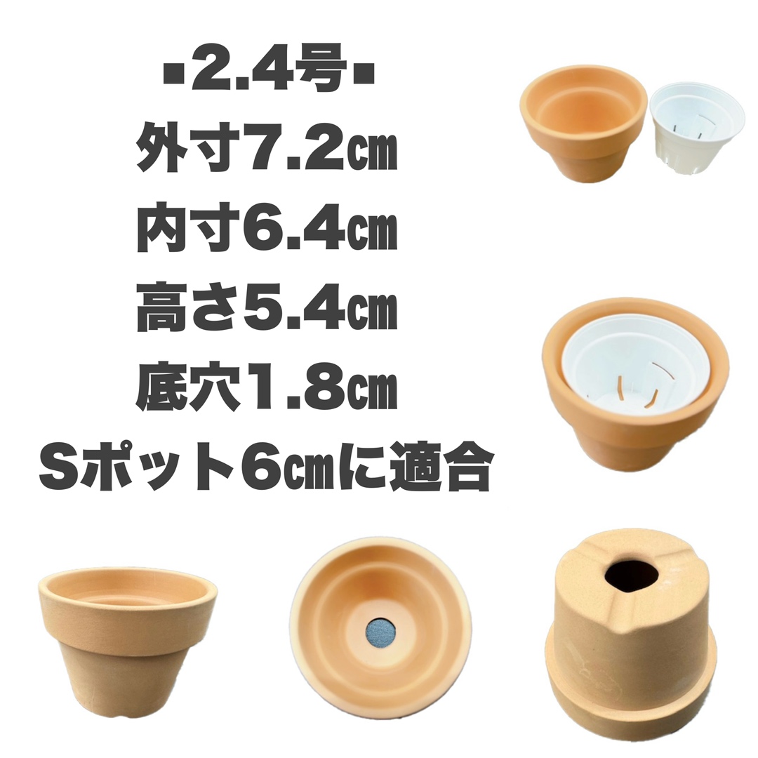着せ替え 素焼き鉢 2.4号  中深 128枚セット  輸入品 洋蘭 富貴蘭 リメイク鉢 植木鉢
