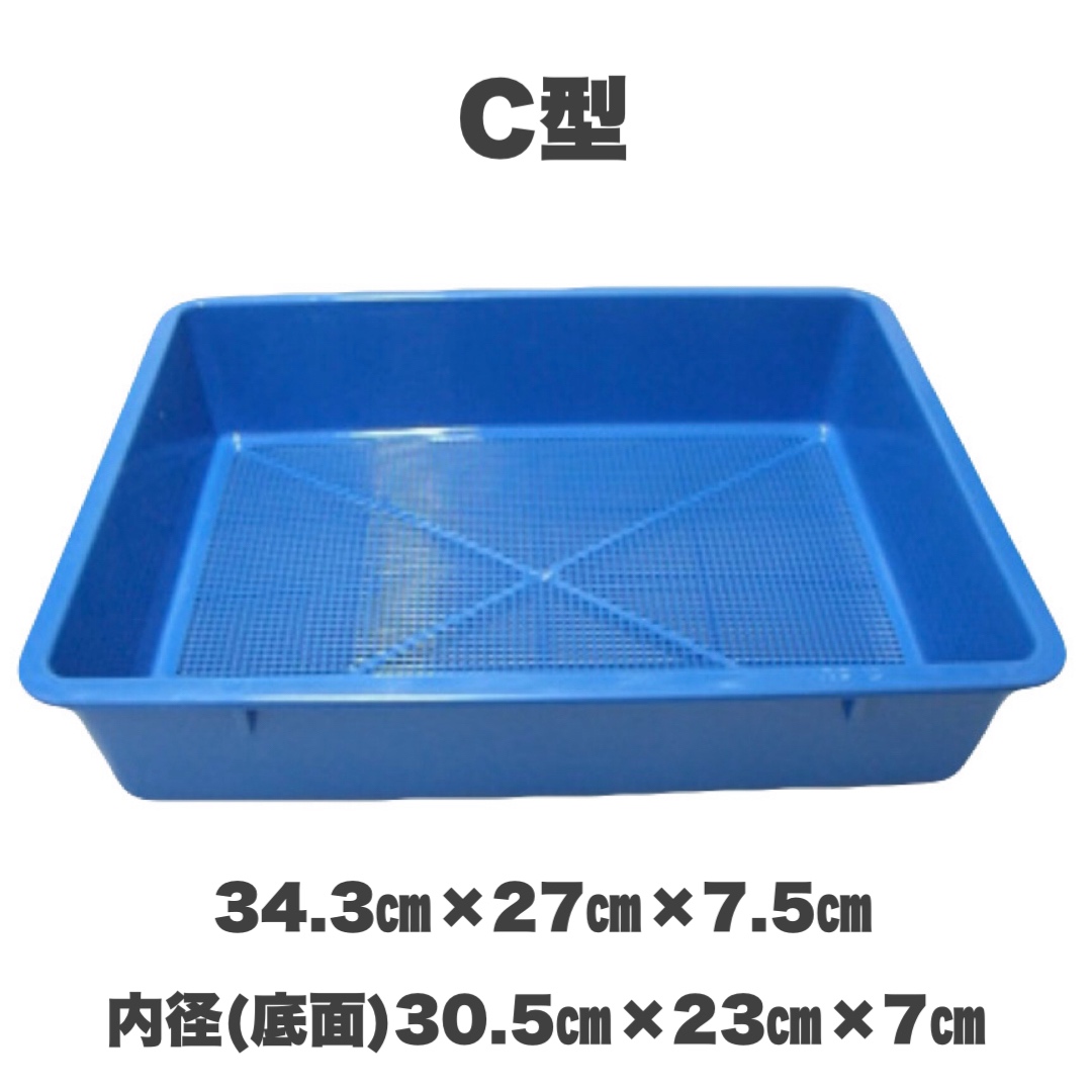 育苗箱　C型　ブルー　34ｃｍ　種まき さし木 さし芽　トレー