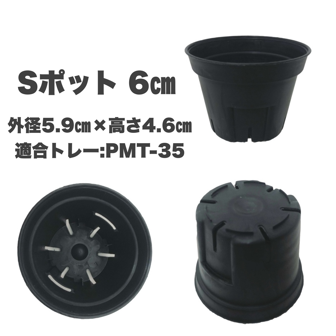 Sポット60　黒（ブラック）　6cm スリット鉢　プラ鉢　10個セット　多肉