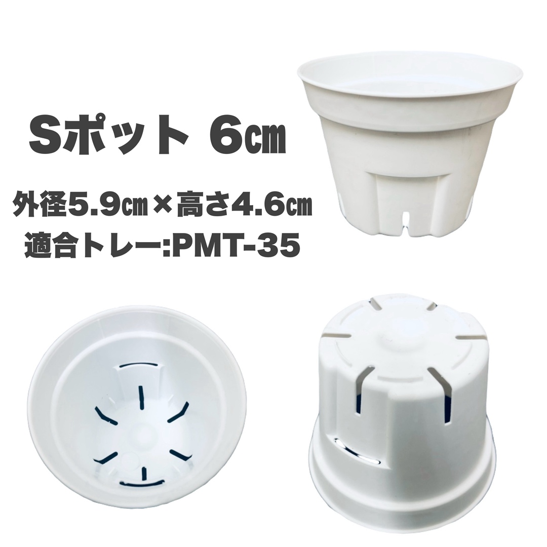 Sポット60　白　6cm スリット鉢　プラ鉢　100個セット　多肉