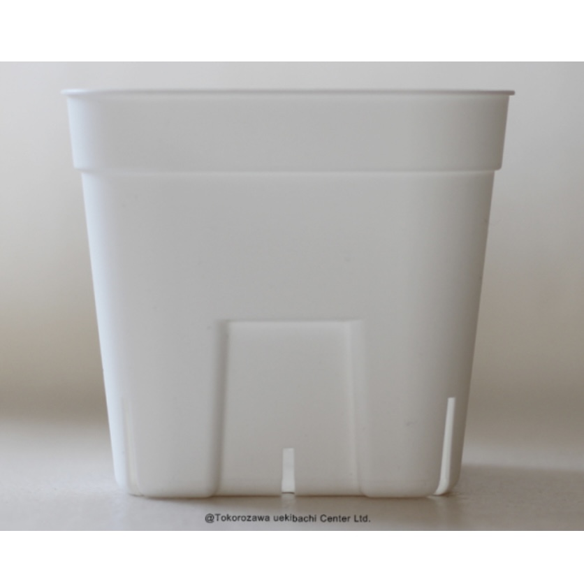 プレステラ 通常型 白 105 スリット入りプラ鉢 800個セット