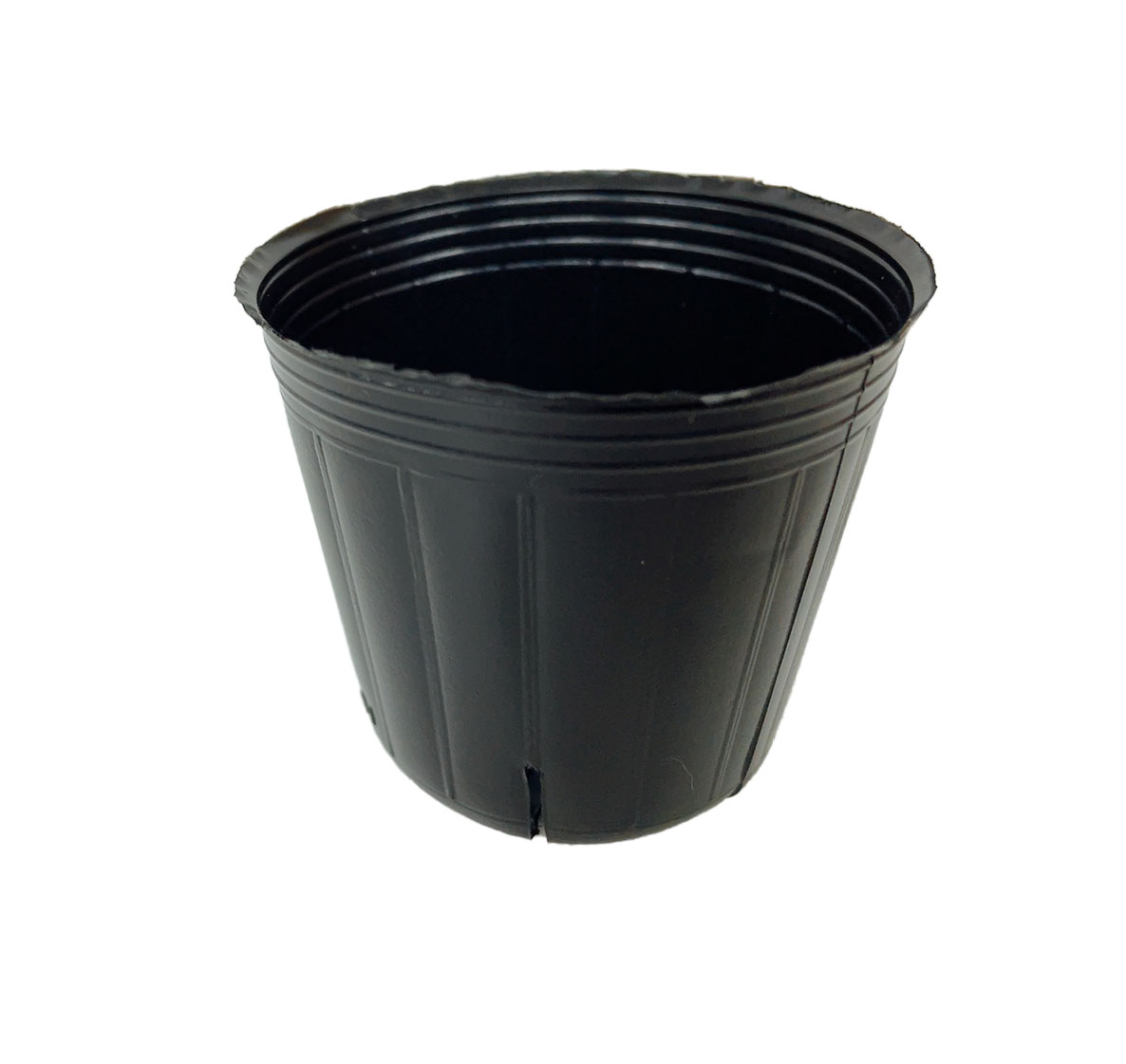 TOスリットポット　6ｃｍ　3000個　黒　スリット4入り　東海化成　TSP-60 多肉植物 鉢 エケベリア