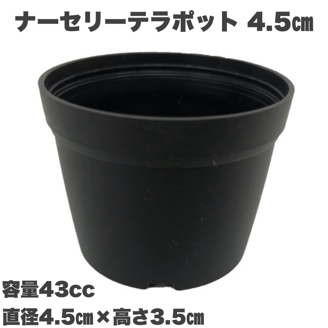 ナーセリーテラポット　4.5ｃｍ　黒　2000個セット 多肉植物　サボテン 送料無料