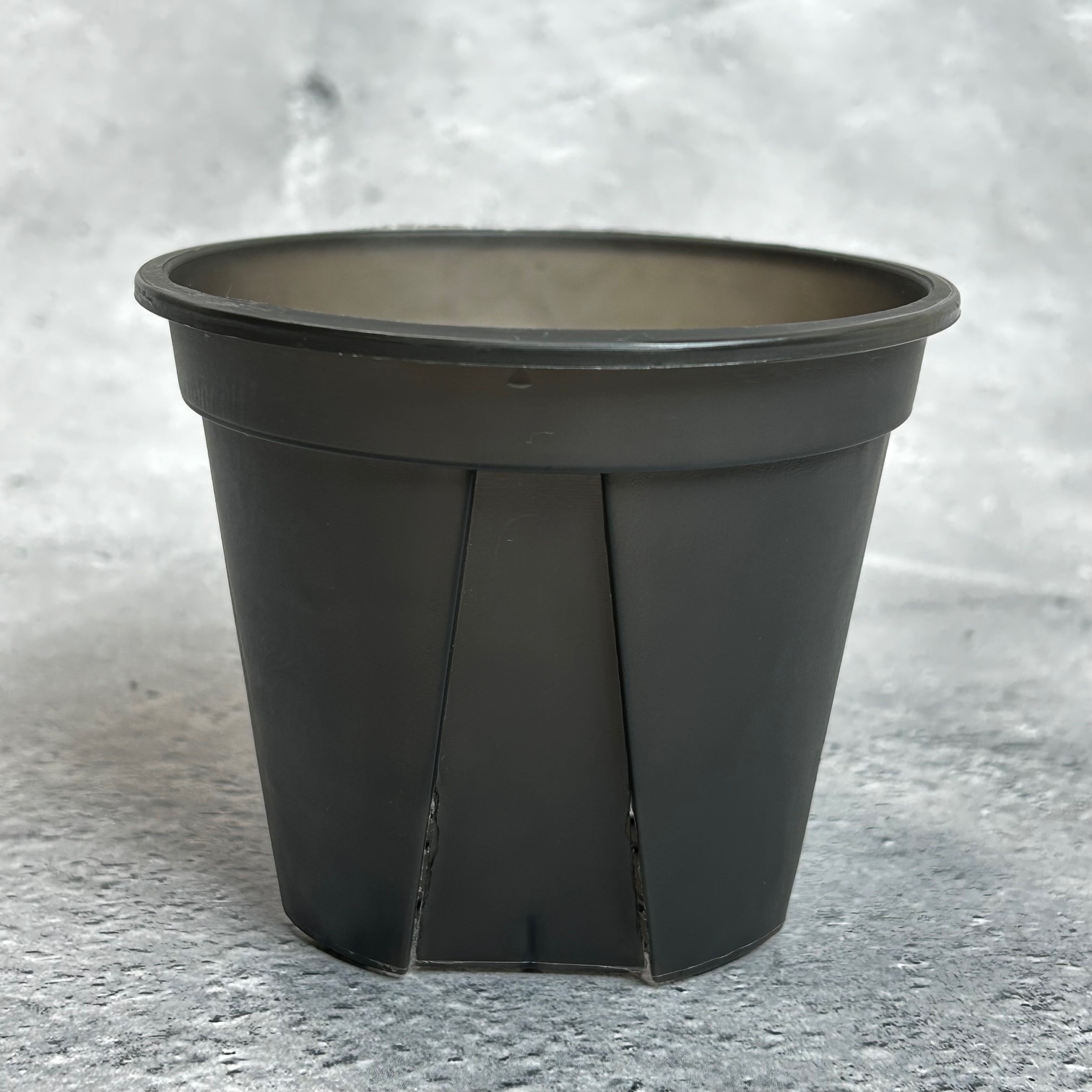 CBKポット  3.5号　1個　スリット入りプラ鉢　（クリアブラック）