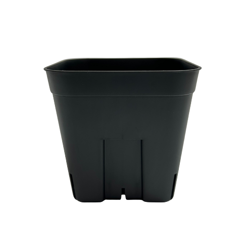 プレステラ120  黒（ブラック)　500個セット　スリット入りプラ鉢
