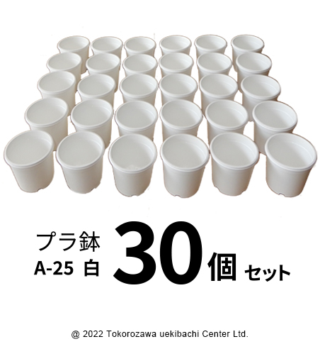 プラ鉢 A-25 白（オリジナルホワイト） 30個セット 多肉植物 鉢 エケベリア