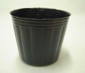ポリポット　18cm　黒　800個 ビニールポット