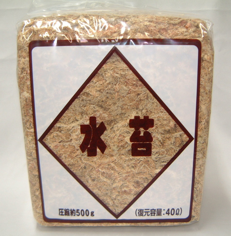 お一人様1個まで/水苔　チリ産　500ｇ　洋蘭　富貴蘭　サギ草などに