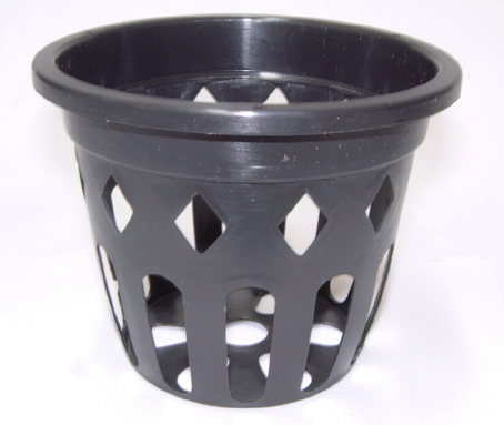 穴鉢 10.5cm 黒 100個 富貴蘭 多肉植物 サボテン 洋蘭 原種
