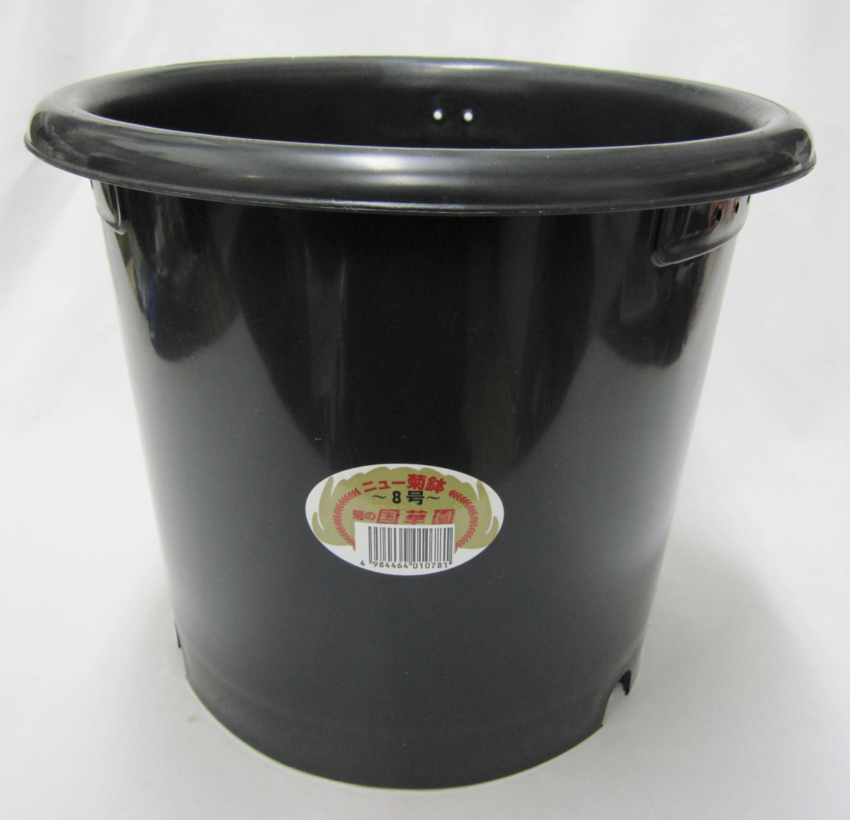 菊　プラ鉢　国華園製　8号