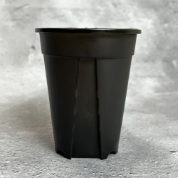 CBKポット 3.5号 LONG　1個　スリット入りプラ鉢　（クリアブラ...