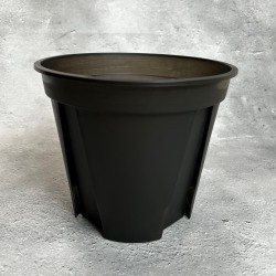 スリット鉢 プラ鉢 6cm 2号 100個