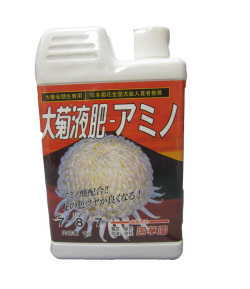 専用　ブラヘアアルマータ　10号鉢つき　幹太❗ 専用 ブラヘアアルマータ 10号鉢つき 幹太❗
