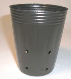 京楽焼植木鉢 3.8号 春蘭用 寒蘭用 サナ付き 愛楽園製