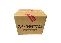 着せ替え 素焼き鉢 2.9号 中深 10枚セット 輸入品 洋蘭 富貴蘭