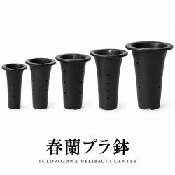 京楽焼 富貴蘭鉢 3.3号