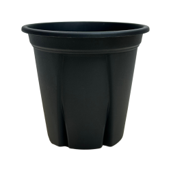 根っこつよし　3号　黒（ブラック)　ラベルレス　スリット入りプ...