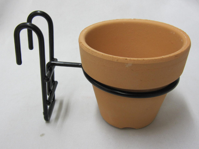 風蘭吊り下げ 楽天市場】吊り 風蘭 風らん フウラン シノブ付き