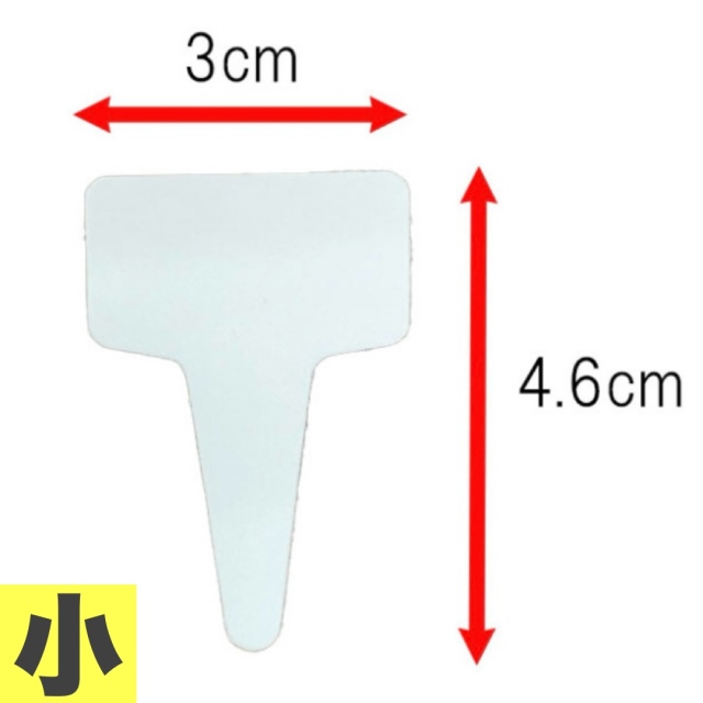 ゴールドラベル T型 大 8.9cm（横幅5.1cm） 白（ホワイト） 50枚入り